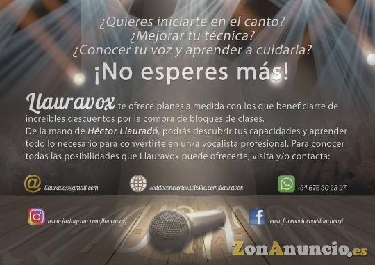 Clases de canto particulares